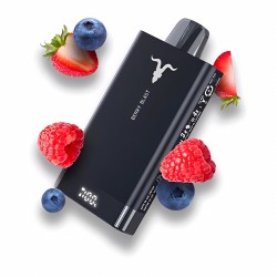 Ignite disposable 15000 Puffs Mixed Berries