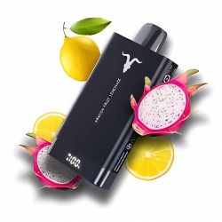 Ignite disposable 15000 Puffs Passion Fruit Lemon