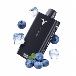 Ignite disposable 15000 Puffs Aloe Grape